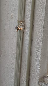 20240525_193133.jpg
