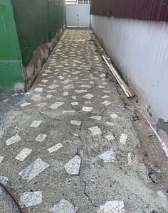 IMG_7934.jpeg
